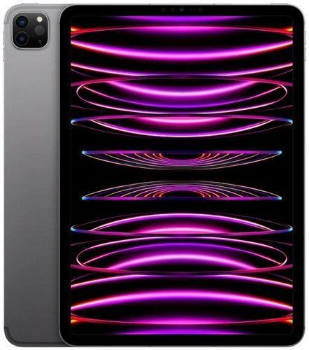 iPad Pro 11-inch (2022) 4th Gen - 1TB - WiFi - Space Grey